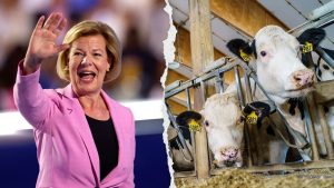 Wisconsin dairy farmer fact checks Democrat Senator Tammy Baldwin's 'coattail' claim that she has their 'back