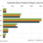 Australian cheese Production Down 5 In 2023 24