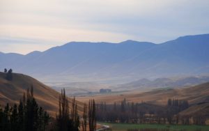 Compliance team fans out across Otago