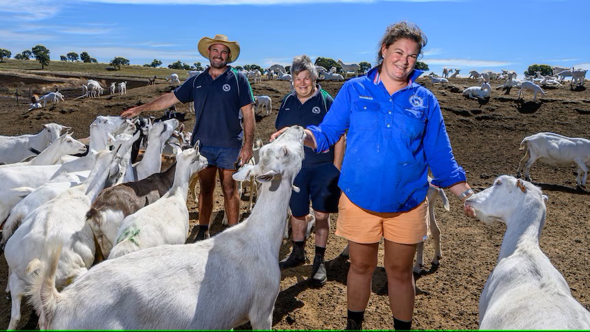 Confidence remains in dairy goat industry despite lack of representation