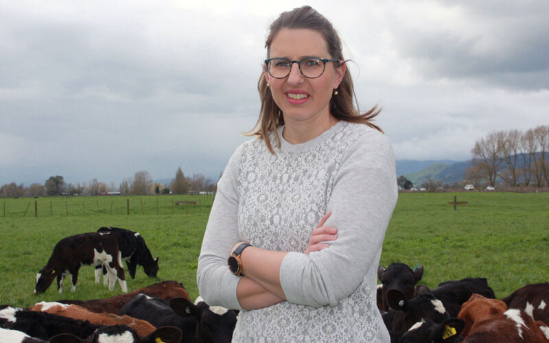 Dairy farmers back in the black