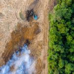 EU bows to pressure on deforestation regulation