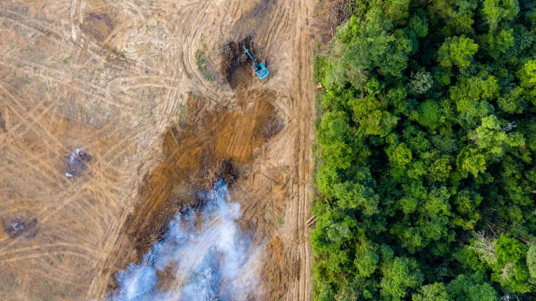 EU bows to pressure on deforestation regulation