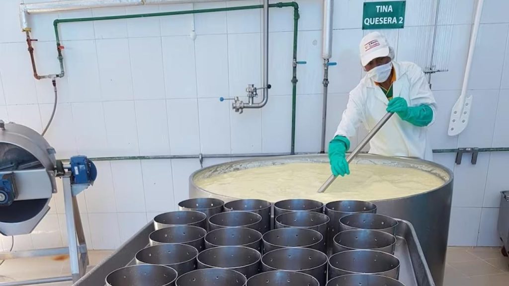 Ecuador prepares to export high-protein milk to China, while recording low dairy consumption