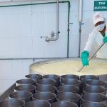 Ecuador prepares to export high-protein milk to China, while recording low dairy consumption