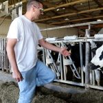 Federal milk marketing order proposal goes to referendum stage