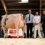 Milk producers keep standards high at Welsh Dairy Show