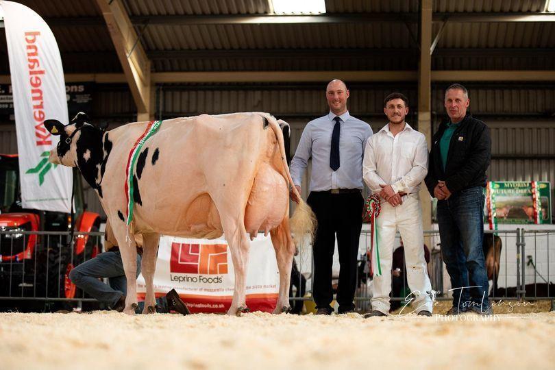 Milk producers keep standards high at Welsh Dairy Show