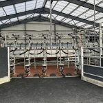 Milking 500 cows on two milking platforms