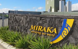 Miraka updates milk forecast