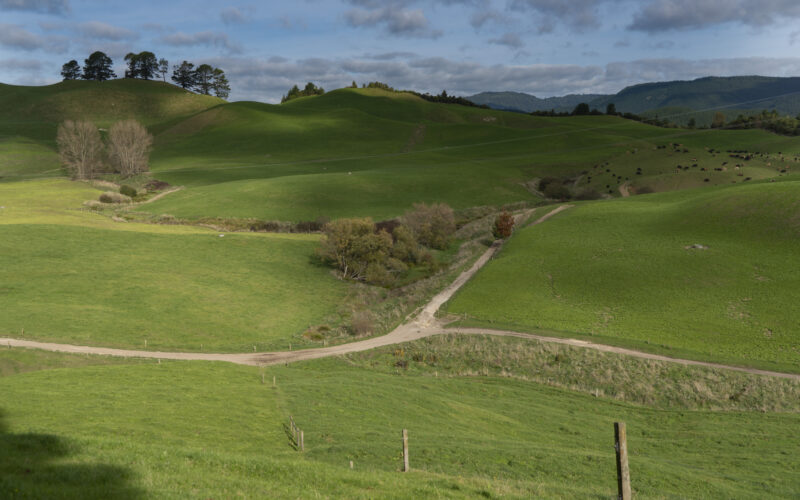 Polls close soon for DairyNZ board election