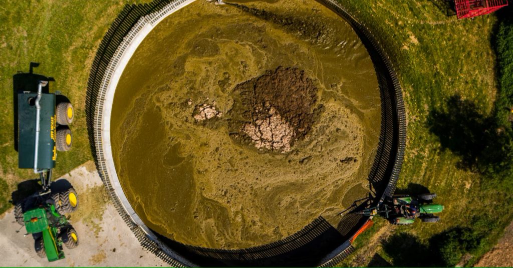 Record-high manure prices drive up Dutch farmers' costs