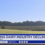 Surviving dairy industry decline in TN