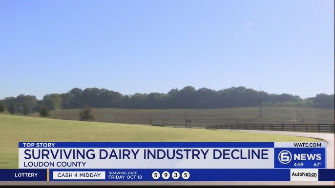 Surviving dairy industry decline in TN