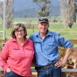 Tasmanian farmers find a way to control calf virus