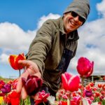 The Taranaki dairy farmer milking his tulip dream