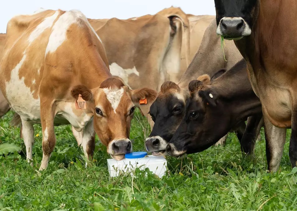 WA dairy latest to join milk on tap revolution - and it's udderly good