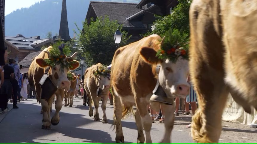 What can Australian farmers learn from Swiss agriculture