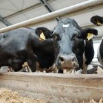 Wisconsin Dairy Industry DATCP Announces Key Insights from Producer Survey