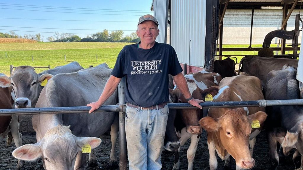 Wisconsin dairy farmer says 'no question' Trump admin was 'much better' than Biden-Harris