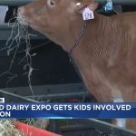 World Dairy Expo encourages youth to get involved in agriculture at FFA day