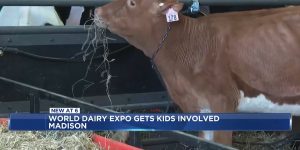 World Dairy Expo encourages youth to get involved in agriculture at FFA day