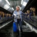 America’s Disappearing Dairy Farms