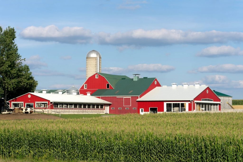 Dairy FARM Program updates sustainability tool