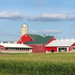 Dairy FARM Program updates sustainability tool