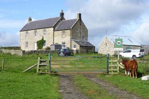 Drop in Ireland's farmer numbers raises milk, cheese, butter prices