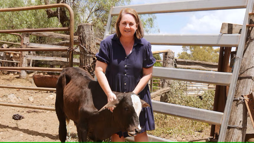 Farmer leases land to wind farm project, but others question environmental impact