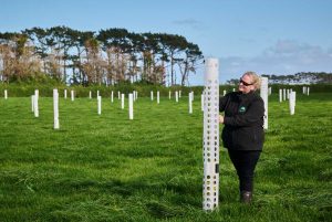 Fonterra and Nestlé Share Promising Results for Net Zero Pilot Dairy Farm