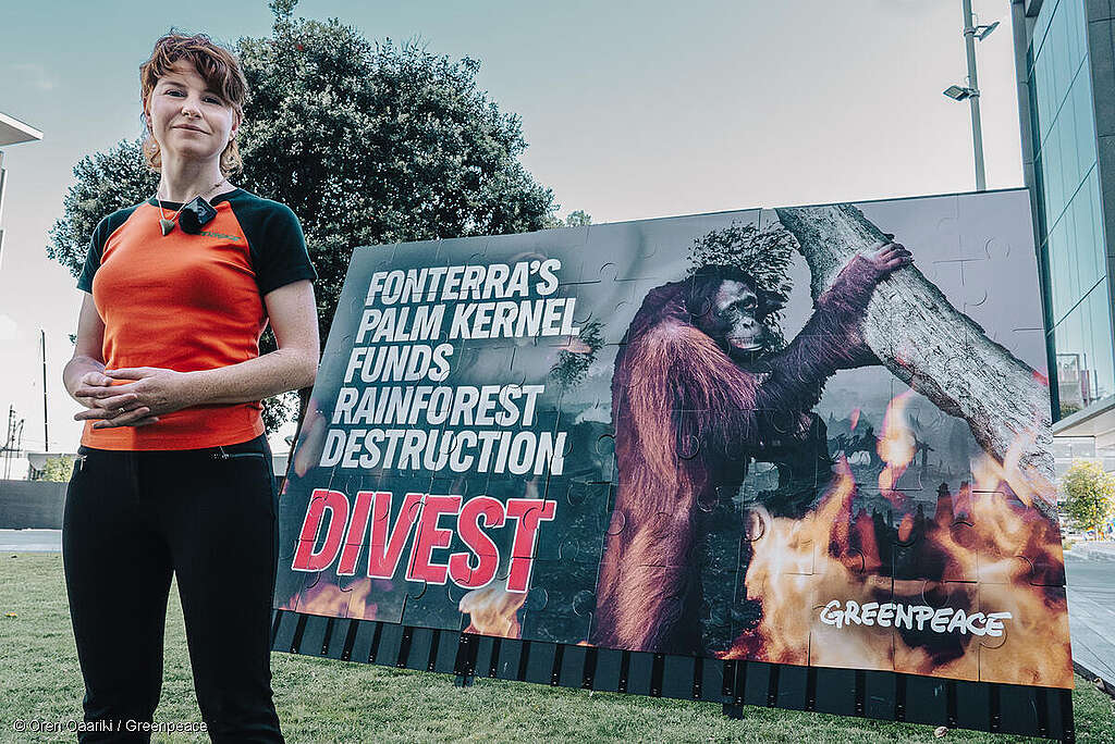 Greenpeace Calls On Fonterra Investors To Consider Big Picture With Giant Puzzle