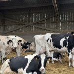 In France, a helping hand over the farmgate