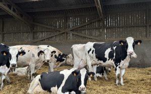 In France, a helping hand over the farmgate