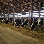 Mexico remains America’s top dairy customer