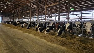 Mexico remains America’s top dairy customer