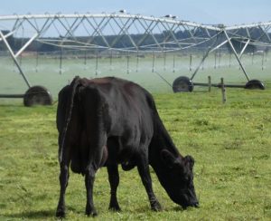 Milk production off to a good start