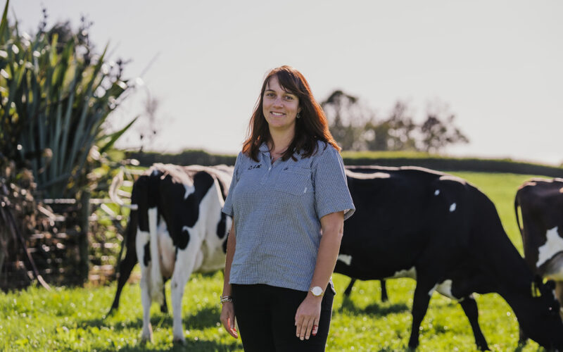 Passion-for-breeding-heat-tolerant-cows