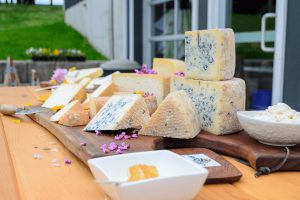 Pasture to Plate How Sustainable Farming Fuels Flavorful Cheeses