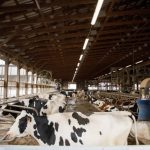 Pennsylvania officials visit Berks County dairy farm, tout apprenticeships