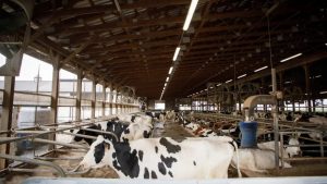 Pennsylvania officials visit Berks County dairy farm, tout apprenticeships