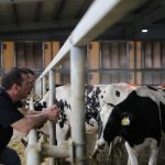 Public Health and the Dairy Cow in the Room