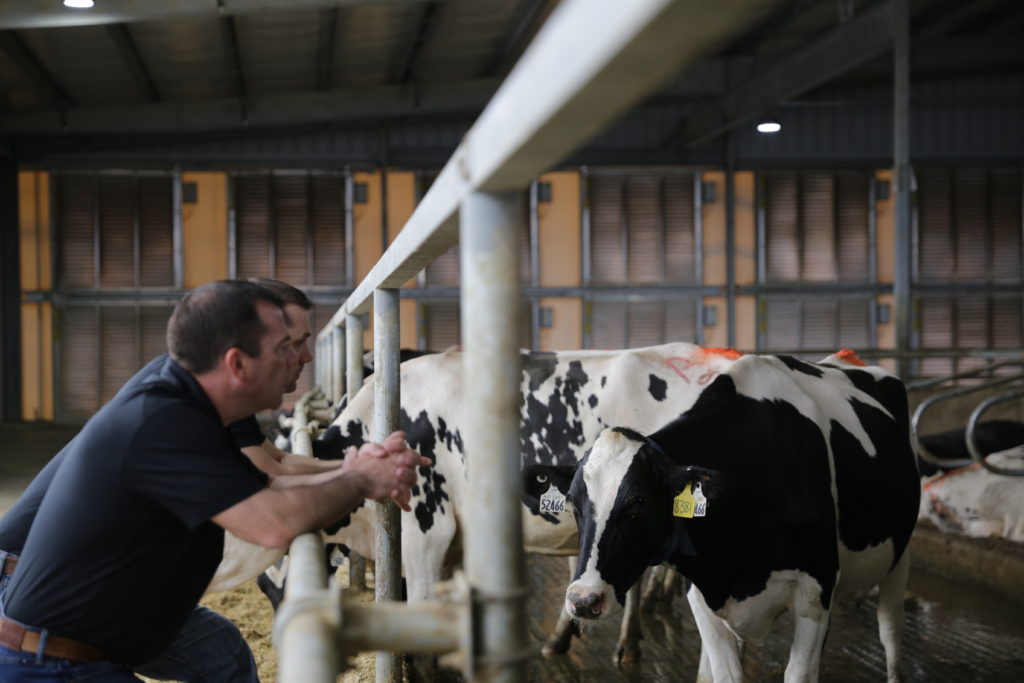 Public Health and the Dairy Cow in the Room