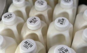 Raw milk from a California dairy is recalled after routine testing detected the bird flu virus