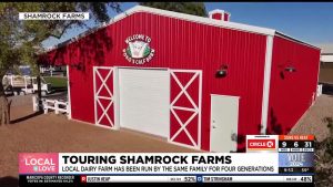 Stanfield dairy farm producing products for over 100 years