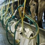 State’s Dairy Industry Points to New Comptroller Report on Agriculture to Support 2025 Budget Requests