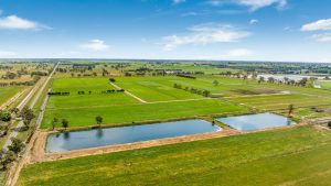 Swedish pension fund to sell three Victorian dairy farms