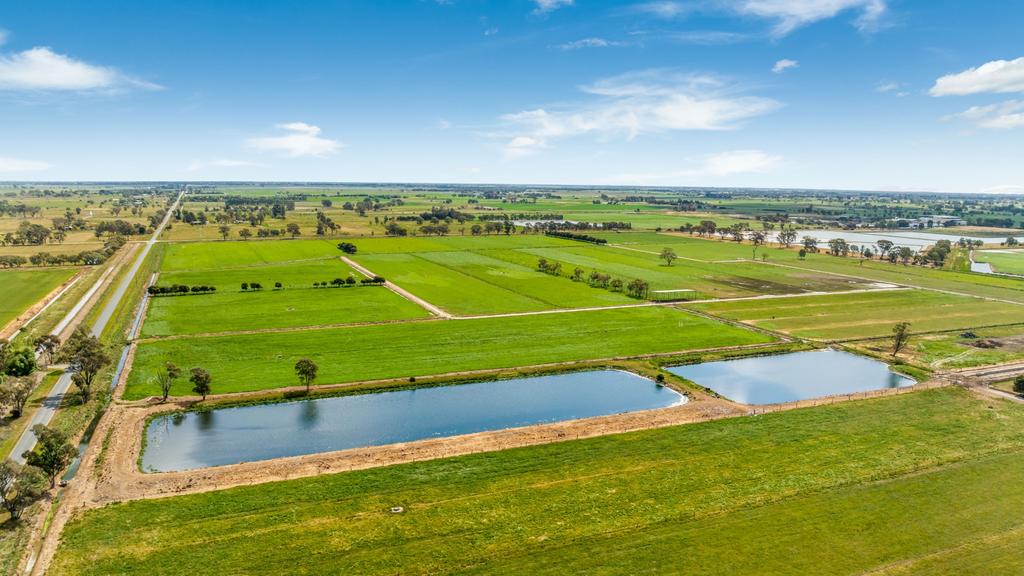 Swedish pension fund to sell three Victorian dairy farms