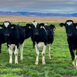 USDA Extends Deadline for Organic Dairy Marketing Assistance Program to December 13